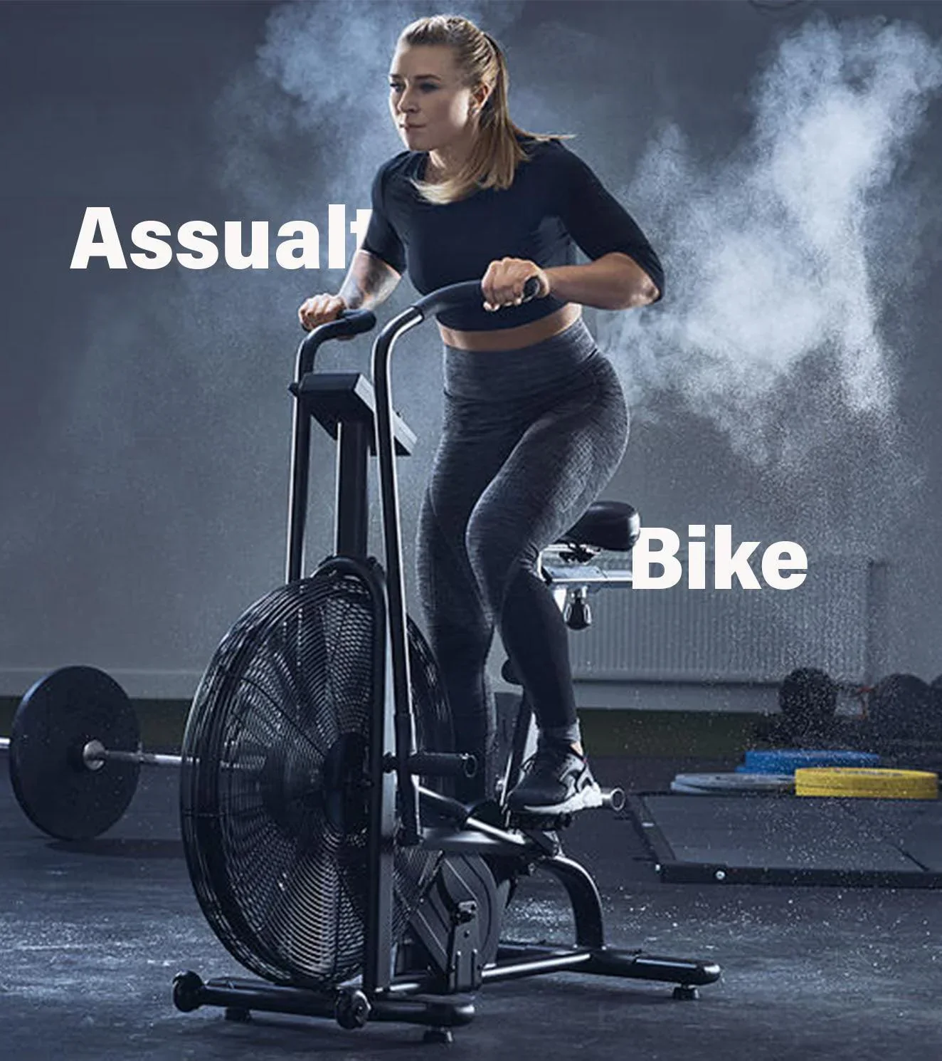 Assault Air Bike Classic - Image 4